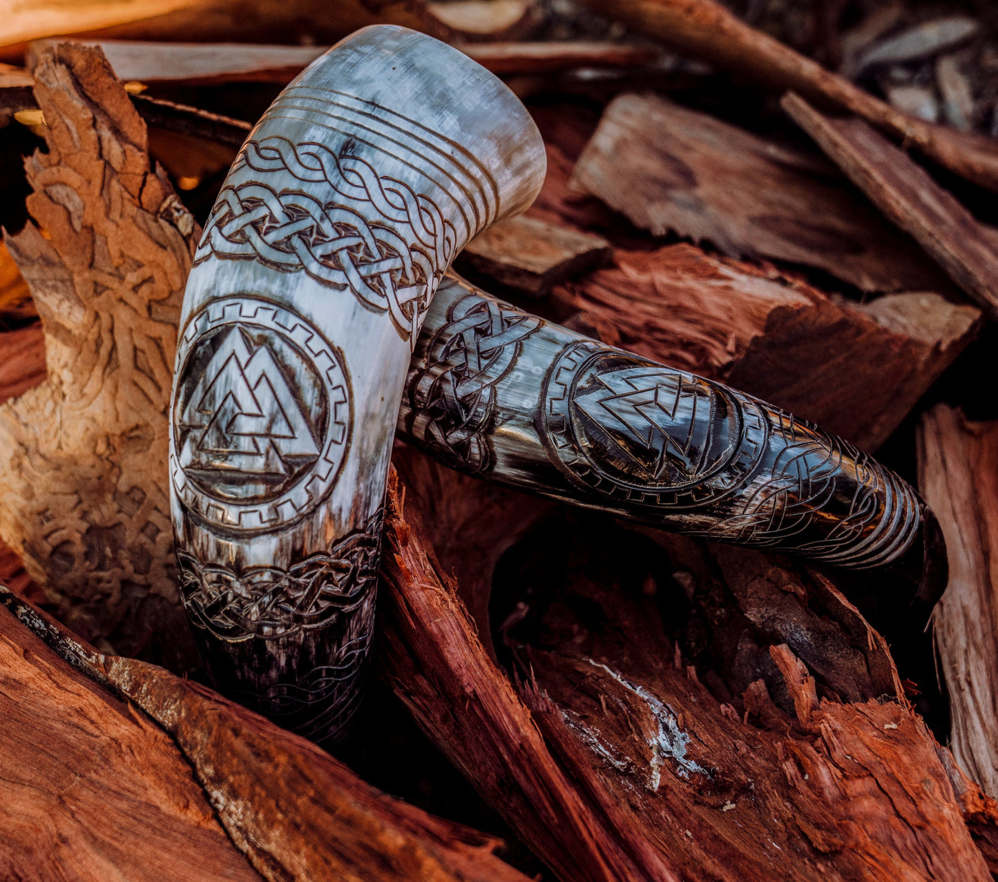 Viking Warrior Drinking Horn