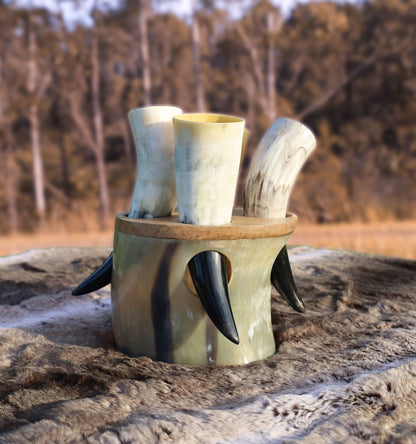 Viking Skol Shot Horn Set