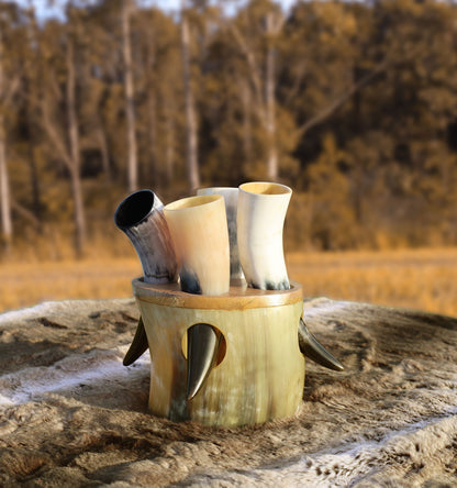 Viking Skol Shot Horn Set