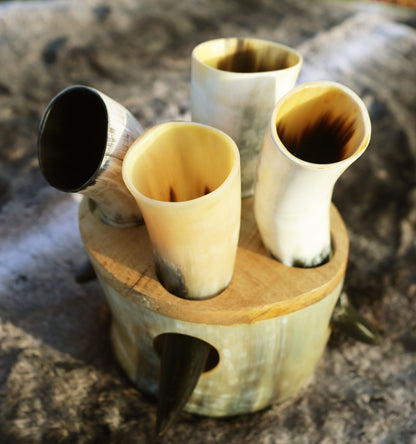 Viking Skol Shot Horn Set