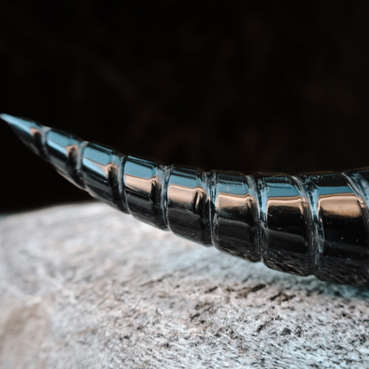 Viking Battle Ship Drinking Horn