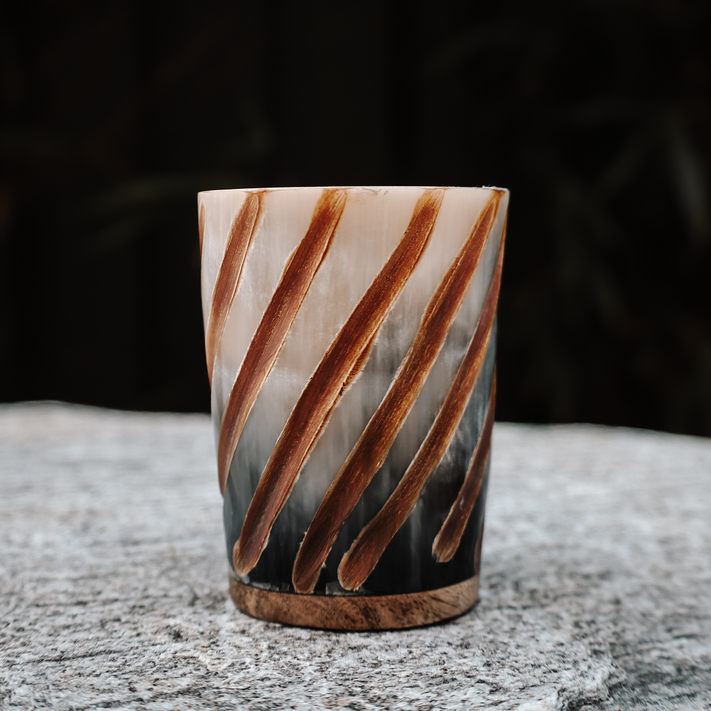 Ragnar's Legacy Horn Shot