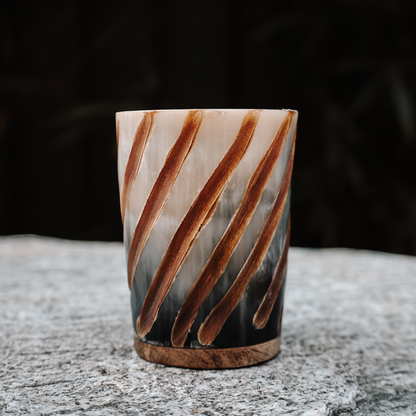 Ragnar's Legacy Horn Shot
