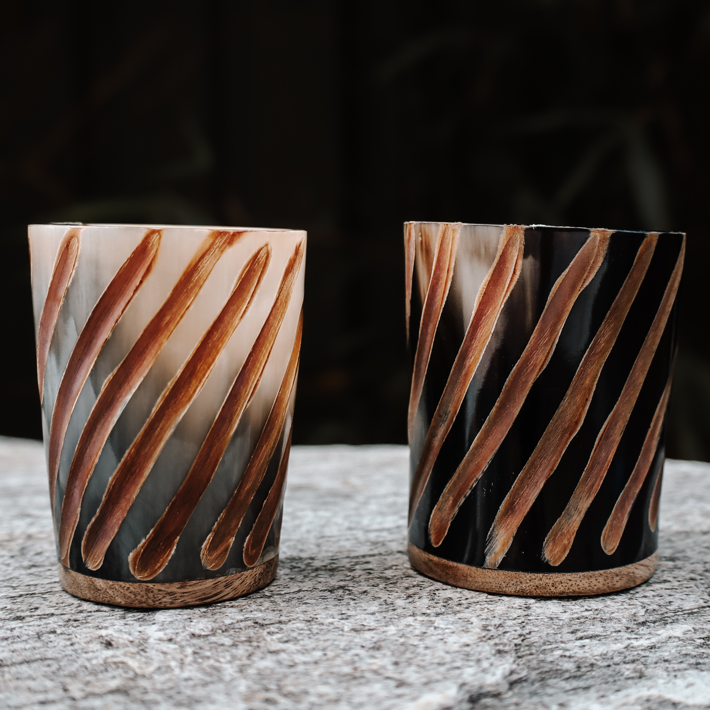 Ragnar's Legacy Horn Shot