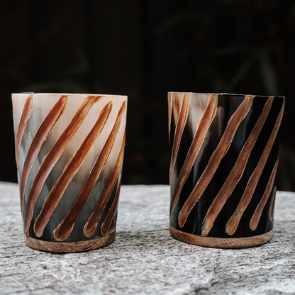 Ragnar's Legacy Horn Shot